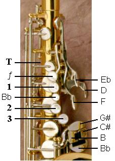 Left Hand Saxophone Keys